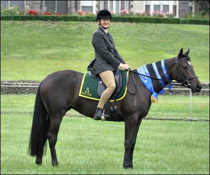 Glenshea farm owner Erica on a prize-winning stockhorse