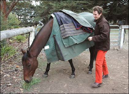 Glenshea farm owner Erica rugs a horse